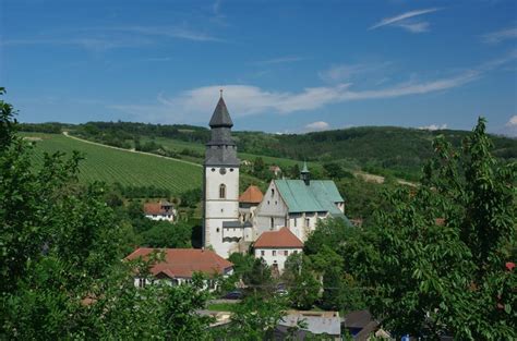 vinice Kurdějov a okolí obraz