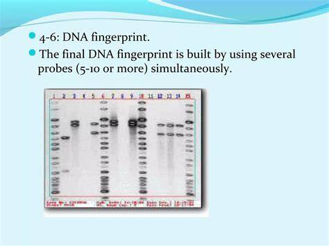 Fingerprinting procesu a rozdíly prohlížečů