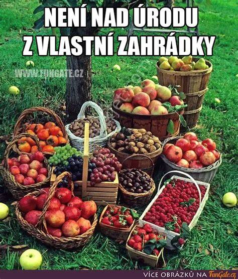 Česká farnost vděčnost za úrodu obrázky plodů země