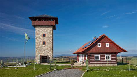 Rozhledna U borovice v krajině