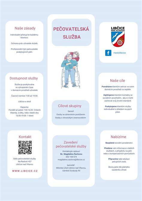Infografika: Struktura pečovatelské služby a procesy