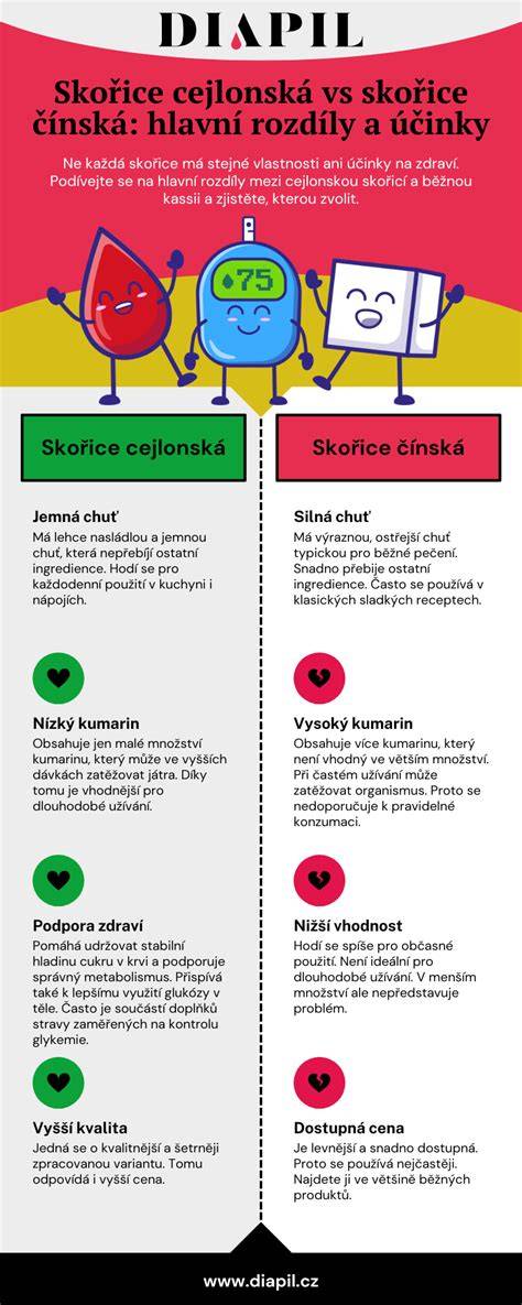 kanon a jeho rozdíly infografika