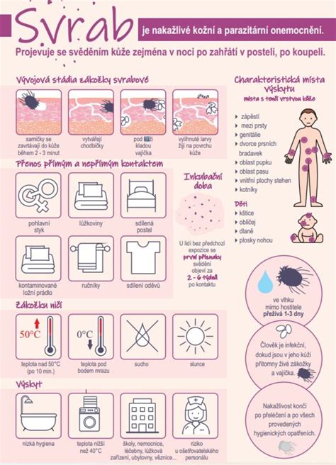postup vyšetřování a preventivní opatření