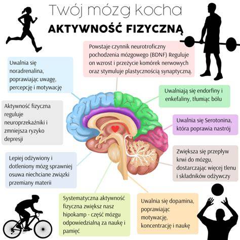infografika-pet-fazi-truchleni