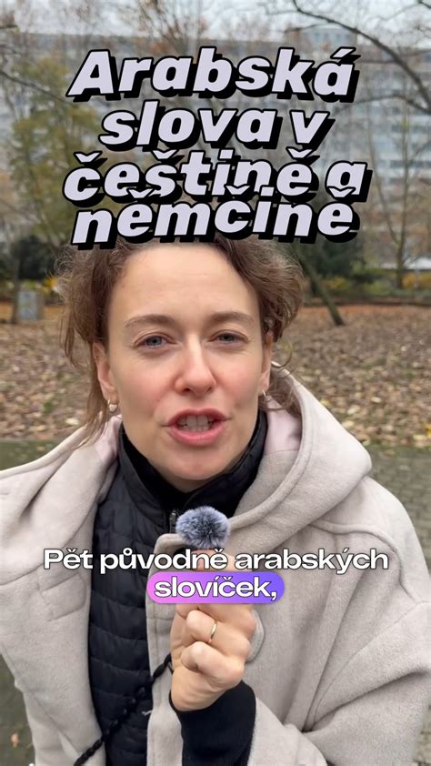 Kultura a jazykové konotace v češtině a němčině