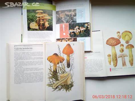 ilustrace bohate vyobrazeni biblickych scen