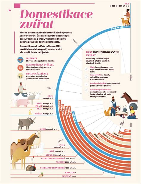 památka koně infografika přehled památek