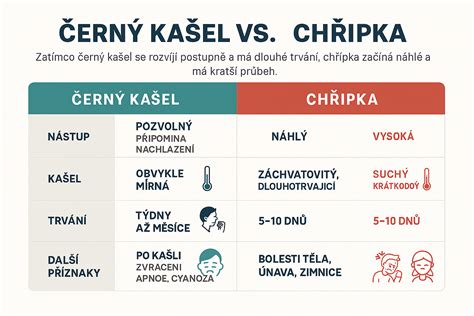 infografika porovnání překladů