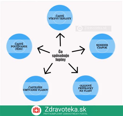 infografika co vznik společenství koinonia