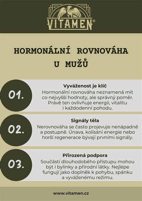 Infografika: rovnováha sil ve 4. KV