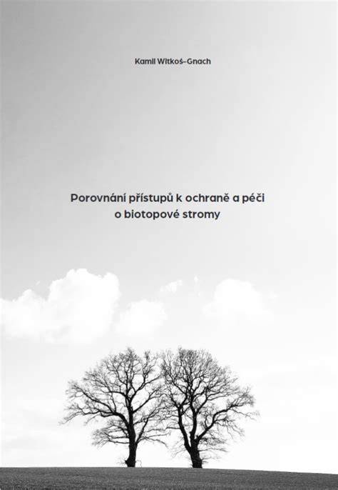 vizuální porovnání přístupů k Bibli: text versus kontext