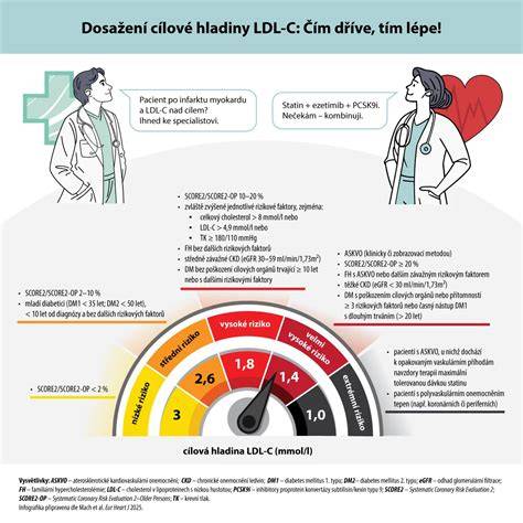 Infografika: Struktura azylového domu a cílové skupiny