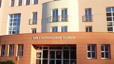 Informativní schéma služeb sociálních služeb a pobytových zařízení