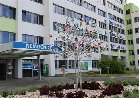 Obrázek areálu nemocnice a kostela Boromejek