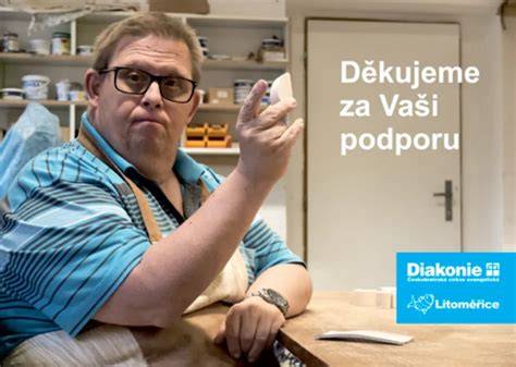 infografika služeb Diakonie v Litoměřicích