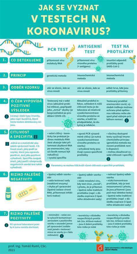 Infografika: Jak fungují veřejné rejstříky