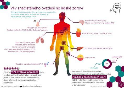 infografika světové chudoby a zdraví
