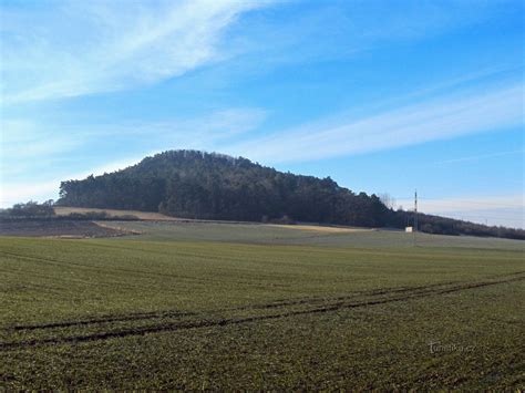 vinice na Širokém vrchu a Hněvín