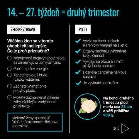 infografika shrnující rozložení mší po regionech