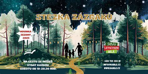 Vykreslení světcova kazání a zázraků