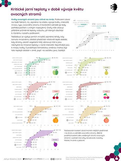 Infografika vývoje knihovny kapucínů