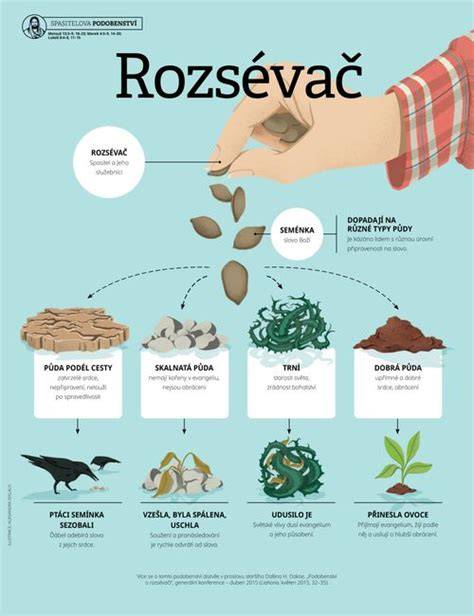 Rozsévač a půda - symbolika půdy a semene
