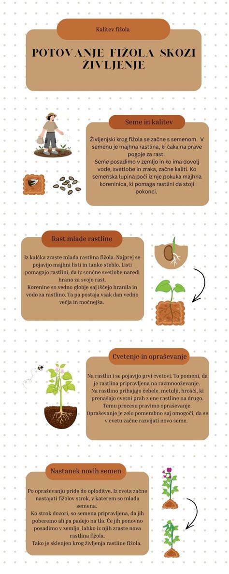 infografika o fungování Dobrých andělů