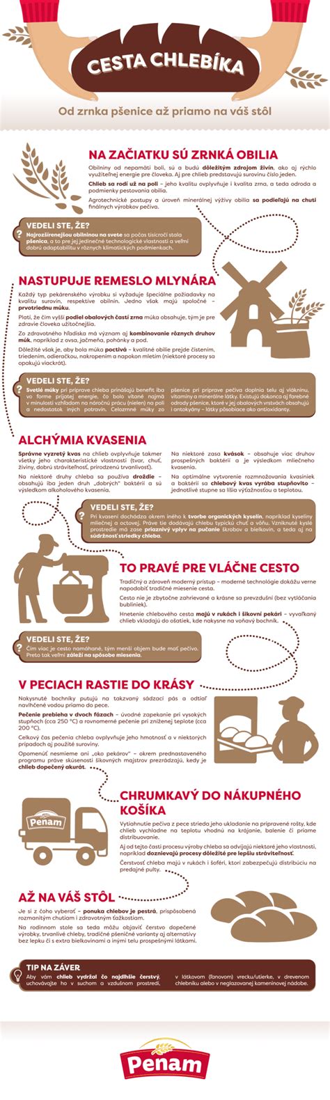 Infografika: Cesta od hříchu k odpuštění
