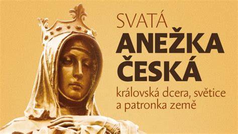 Svatá Anežka patronka péče vizuální koncepce