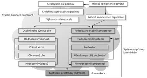 Schéma kariérního rozvoje v medicíně