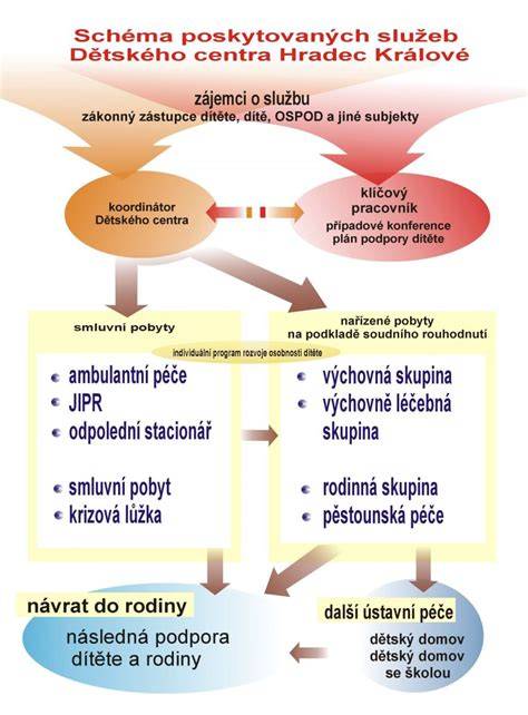 Schéma poskytovaných služeb stacionáře Toník