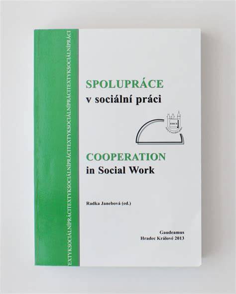 spolupráce institucí v sociální práci