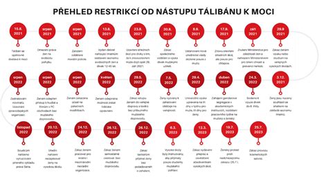 grafický přehled rolí žen v Bibli