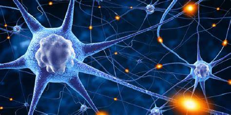 Infografika neuroplasticita a trénink mozku