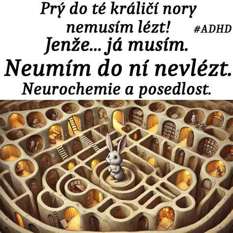 Mapa labyrintů a levelových sekcí