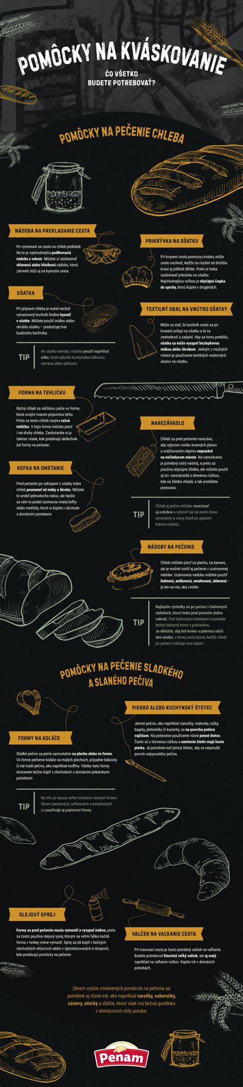 infografika táborové činnosti a hodnoty
