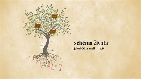 studijní schéma Michelangelova života a díla