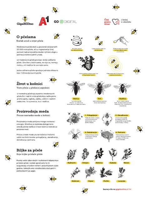 infografika o rozložení desítek růžence