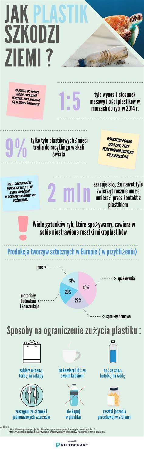 Infografika ikonografie dřevěných plastik