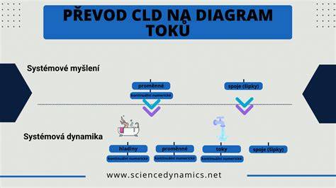 diagram toků charismatického hnutí a jeho vývoj