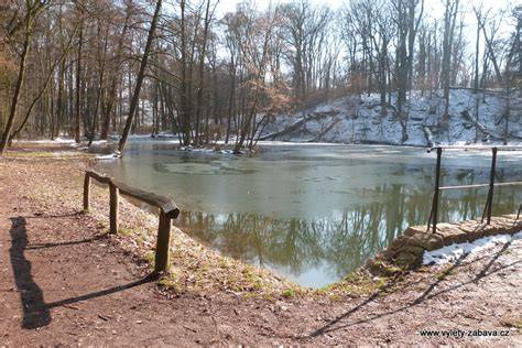 přirodni lokalita rybník Kamenného stolu