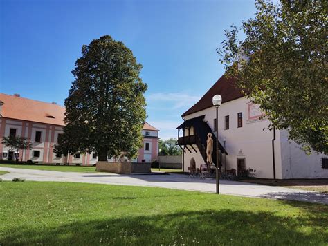 latinska skola klastorna prosperita