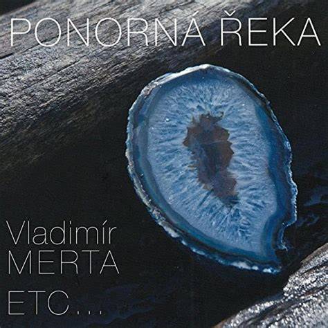 Vladimir Merta on stage with ETC