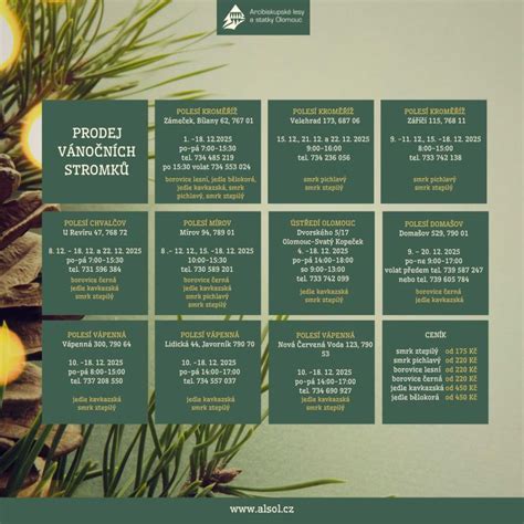 infografika o provozu vánočních stromků