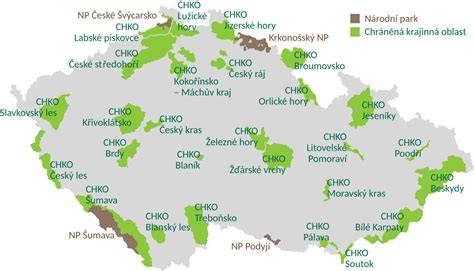 charitativni vystava odlitek prsou mapa ceske uzemi